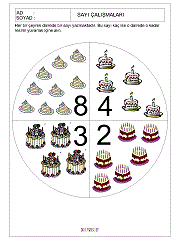kavram gelişim çalışmaları sayılar